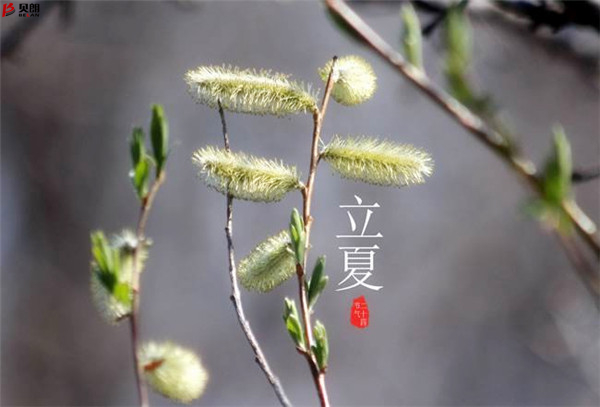 二十四節氣立夏，那些您不知道的習俗